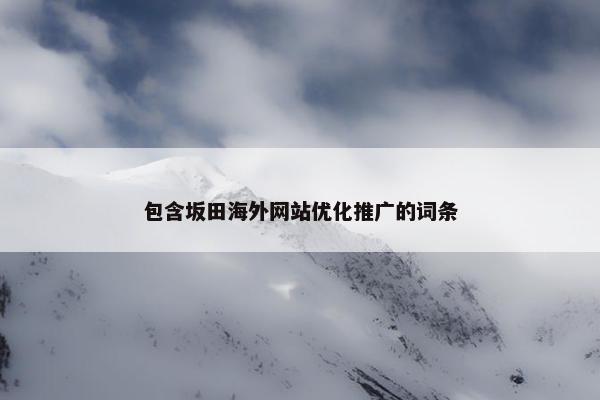 包含坂田海外网站优化推广的词条-第1张图片-冷动云