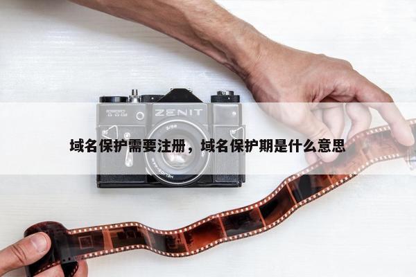 域名保护需要注册，域名保护期是什么意思-第1张图片-冷动云