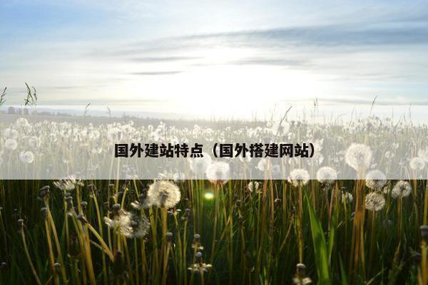 国外建站特点（国外搭建网站）-第1张图片-冷动云