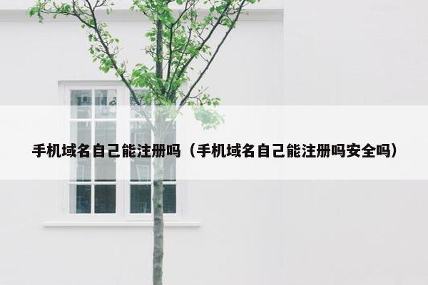 手机域名自己能注册吗（手机域名自己能注册吗安全吗）-第1张图片-冷动云