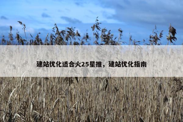 建站优化适合火25星推，建站优化指南-第1张图片-冷动云