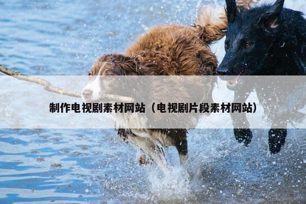 制作电视剧素材网站（电视剧片段素材网站）-第1张图片-冷动云