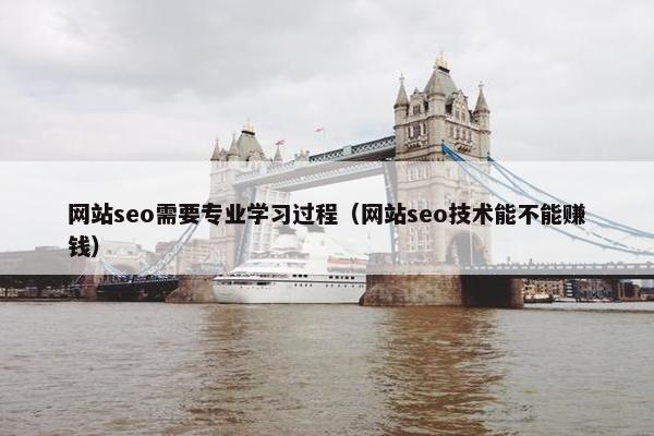 网站seo需要专业学习过程（网站seo技术能不能赚钱）-第1张图片-冷动云