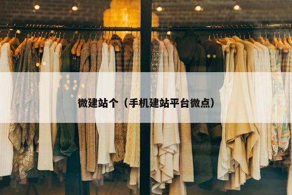 微建站个（手机建站平台微点）-第1张图片-冷动云