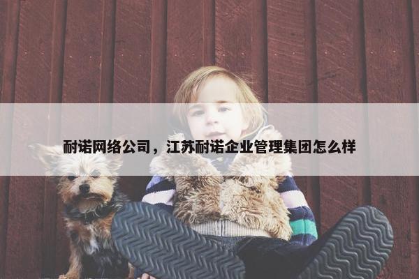 耐诺网络公司，江苏耐诺企业管理集团怎么样-第1张图片-冷动云