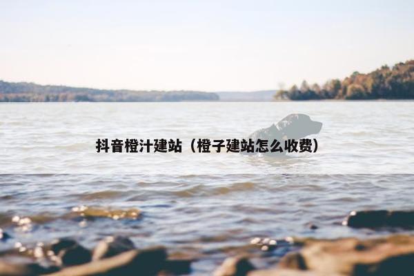 抖音橙汁建站（橙子建站怎么收费）-第1张图片-冷动云