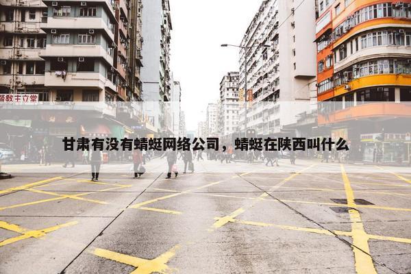 甘肃有没有蜻蜓网络公司，蜻蜓在陕西叫什么-第1张图片-冷动云