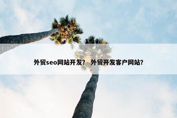 外贸seo网站开发？ 外贸开发客户网站？-第1张图片-冷动云