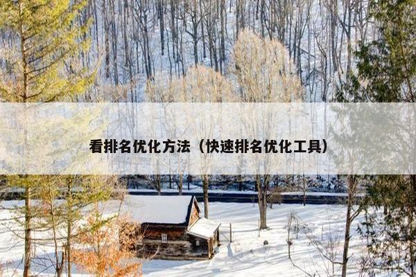 看排名优化方法（快速排名优化工具）-第1张图片-冷动云