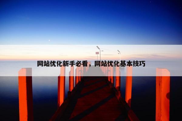 网站优化新手必看，网站优化基本技巧-第1张图片-冷动云