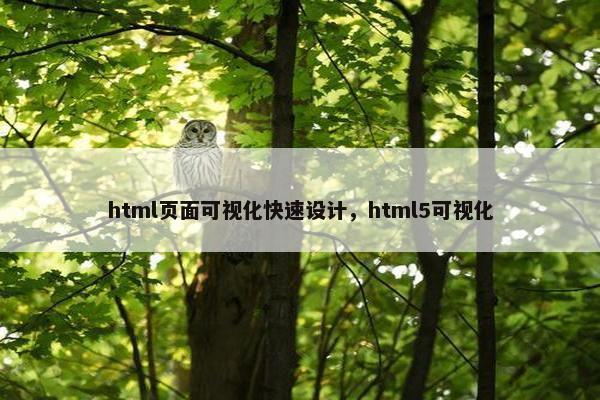 html页面可视化快速设计，html5可视化-第1张图片-冷动云