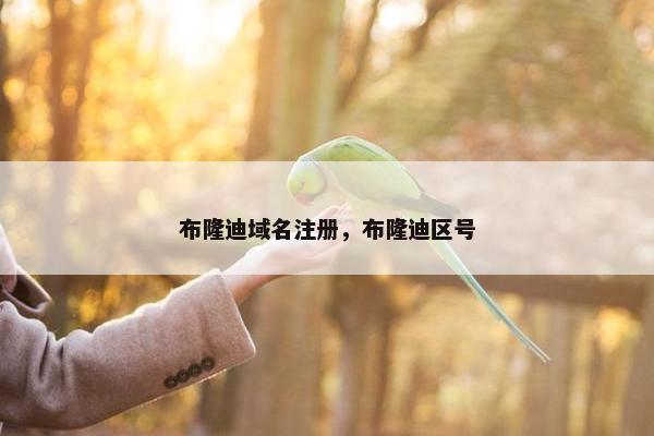 布隆迪域名注册，布隆迪区号-第1张图片-冷动云