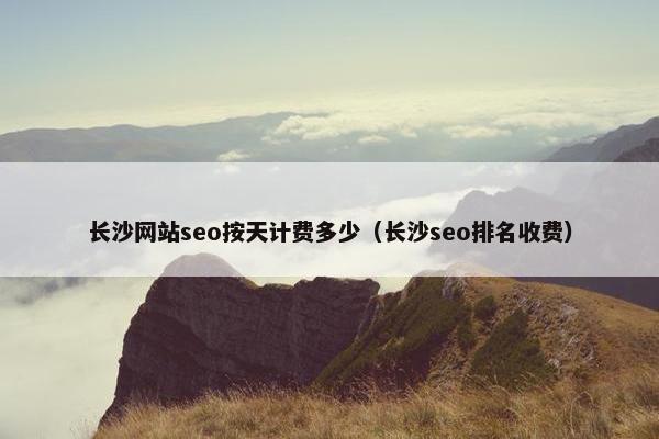 长沙网站seo按天计费多少（长沙seo排名收费）-第1张图片-冷动云