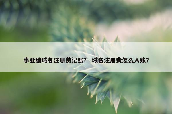 事业编域名注册费记账？ 域名注册费怎么入账？-第1张图片-冷动云