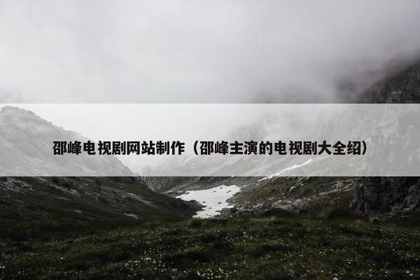 邵峰电视剧网站制作（邵峰主演的电视剧大全绍）-第1张图片-冷动云