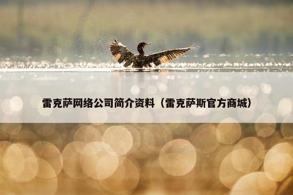 雷克萨网络公司简介资料（雷克萨斯官方商城）-第1张图片-冷动云