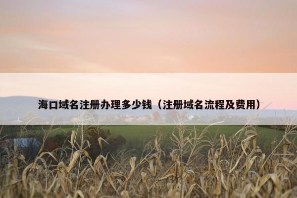 海口域名注册办理多少钱（注册域名流程及费用）-第1张图片-冷动云