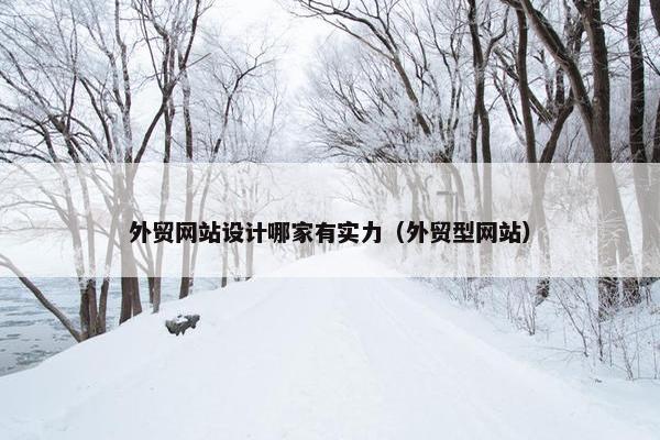 外贸网站设计哪家有实力（外贸型网站）-第1张图片-冷动云