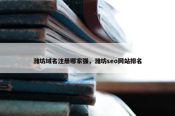 潍坊域名注册哪家强，潍坊seo网站排名-第1张图片-冷动云