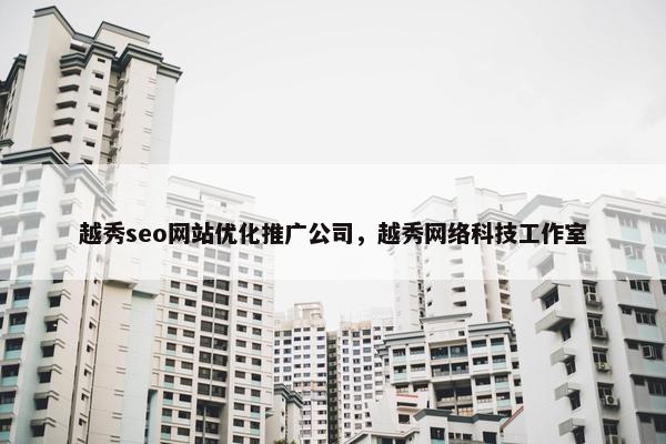 越秀seo网站优化推广公司，越秀网络科技工作室-第1张图片-冷动云