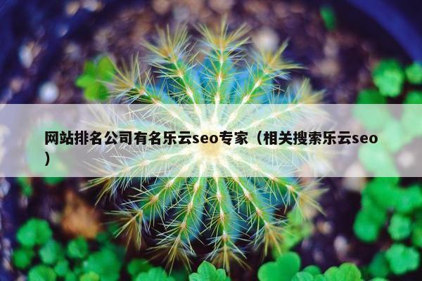网站排名公司有名乐云seo专家（相关搜索乐云seo）-第1张图片-冷动云