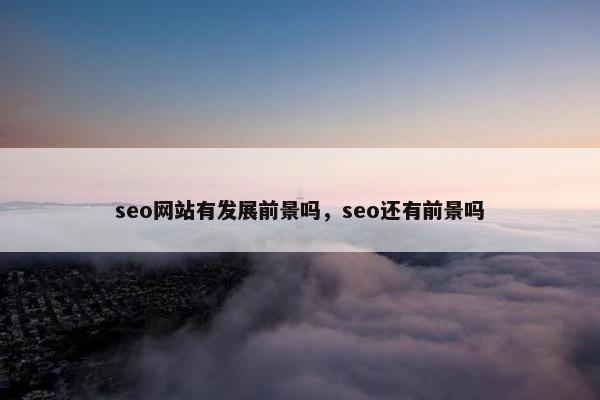 seo网站有发展前景吗，seo还有前景吗-第1张图片-冷动云