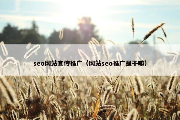 seo网站宣传推广（网站seo推广是干嘛）-第1张图片-冷动云