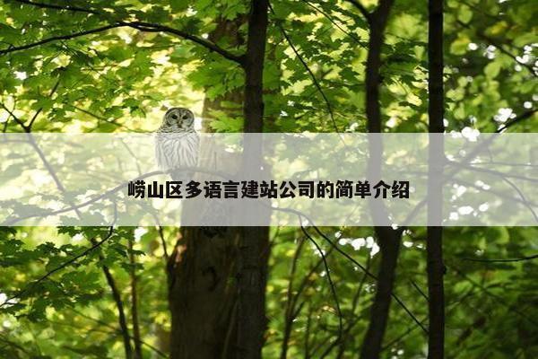 崂山区多语言建站公司的简单介绍-第1张图片-冷动云