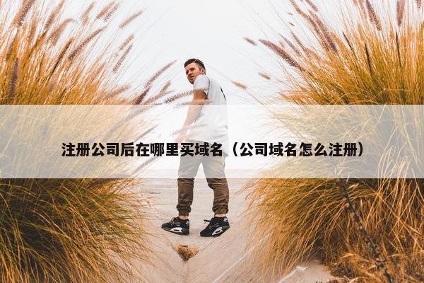 注册公司后在哪里买域名（公司域名怎么注册）-第1张图片-冷动云
