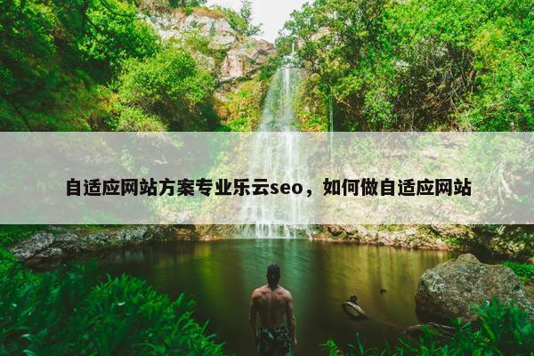 自适应网站方案专业乐云seo，如何做自适应网站-第1张图片-冷动云