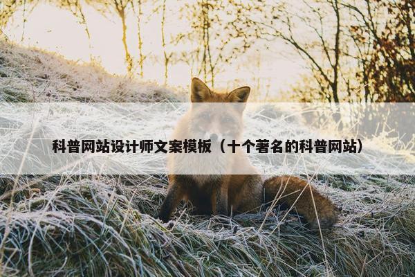 科普网站设计师文案模板（十个著名的科普网站）-第1张图片-冷动云