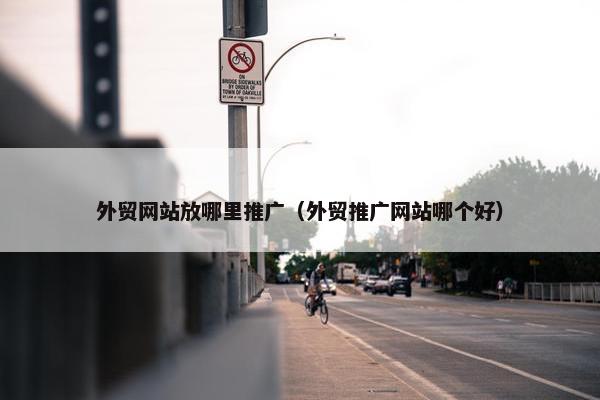 外贸网站放哪里推广（外贸推广网站哪个好）-第1张图片-冷动云