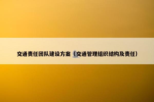 交通责任团队建设方案（交通管理组织结构及责任）-第1张图片-冷动云