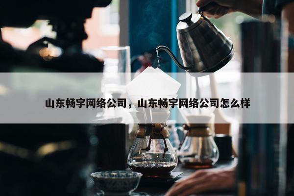 山东畅宇网络公司，山东畅宇网络公司怎么样-第1张图片-冷动云