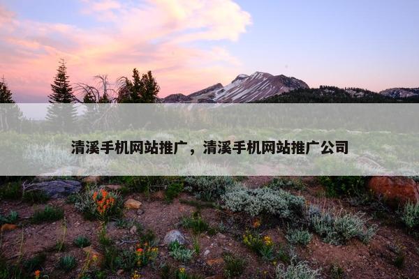 清溪手机网站推广，清溪手机网站推广公司-第1张图片-冷动云