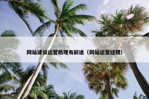 网站建设运营助理有前途（网站运营经理）-第1张图片-冷动云