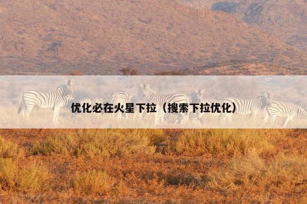 优化必在火星下拉（搜索下拉优化）-第1张图片-冷动云