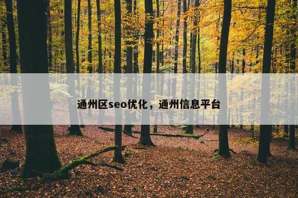 通州区seo优化，通州信息平台-第1张图片-冷动云