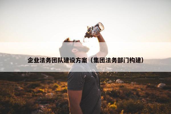 企业法务团队建设方案（集团法务部门构建）-第1张图片-冷动云