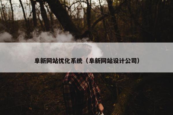 阜新网站优化系统（阜新网站设计公司）-第1张图片-冷动云