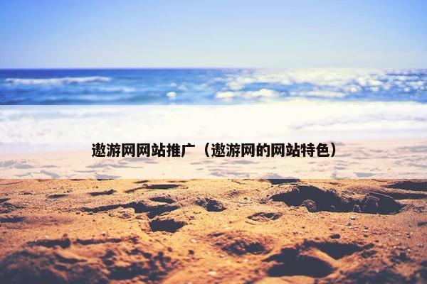 遨游网网站推广（遨游网的网站特色）-第1张图片-冷动云