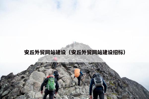 安丘外贸网站建设（安丘外贸网站建设招标）-第1张图片-冷动云