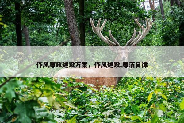 作风廉政建设方案，作风建设,廉洁自律-第1张图片-冷动云