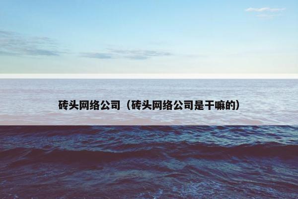 砖头网络公司（砖头网络公司是干嘛的）-第1张图片-冷动云