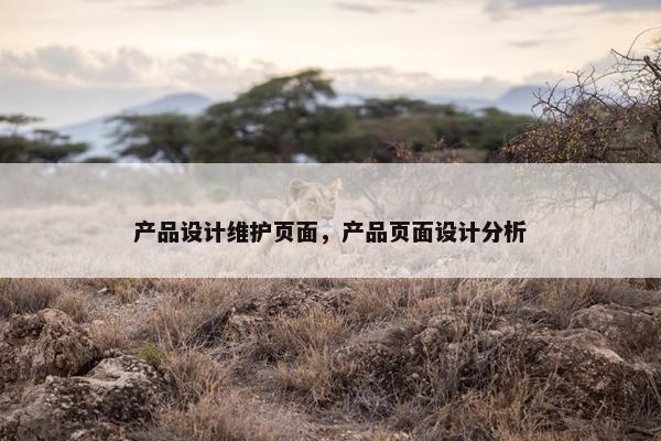 产品设计维护页面，产品页面设计分析-第1张图片-冷动云