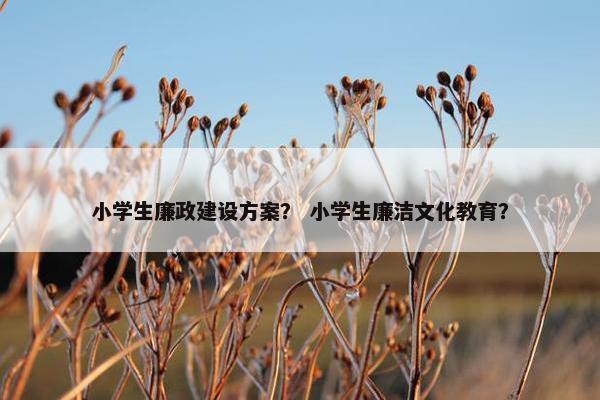 小学生廉政建设方案？ 小学生廉洁文化教育？-第1张图片-冷动云