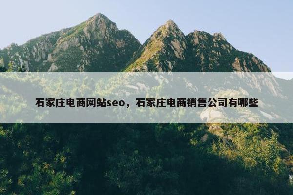 石家庄电商网站seo，石家庄电商销售公司有哪些-第1张图片-冷动云
