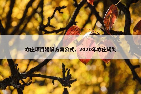亦庄项目建设方案公式，2020年亦庄规划-第1张图片-冷动云