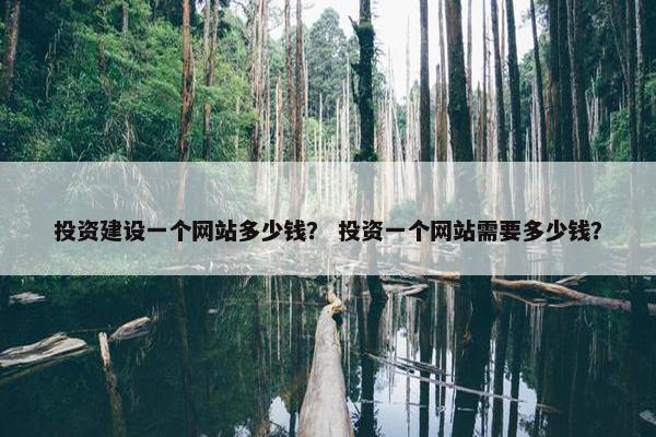 投资建设一个网站多少钱？ 投资一个网站需要多少钱？-第1张图片-冷动云