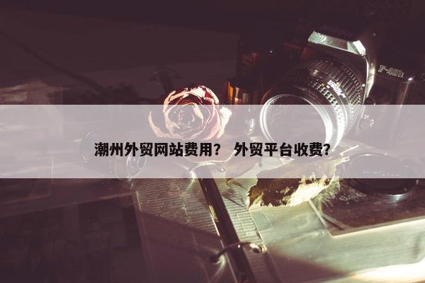 潮州外贸网站费用？ 外贸平台收费？-第1张图片-冷动云